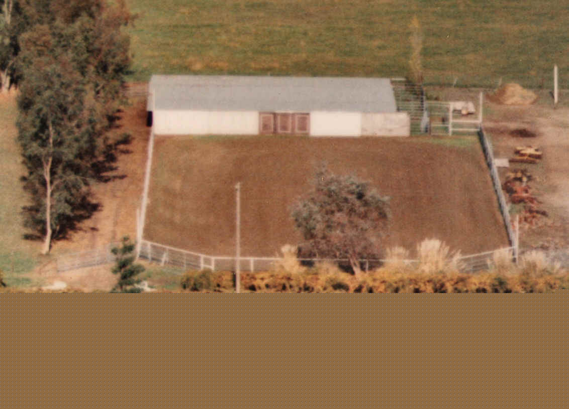 arena.jpg (169555 bytes)